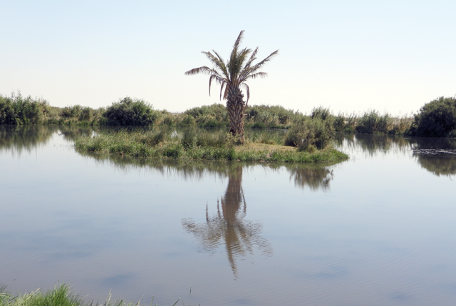 Azraq Wetland Reserve named ‘Peace Park’ by IIP