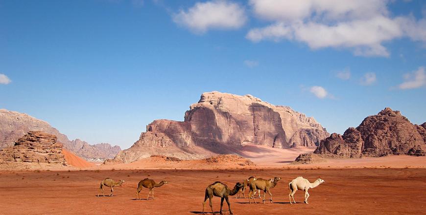 Strong Regional Entry for New-Look Jordan Baja in Awe-Inspiring Wadi Rum